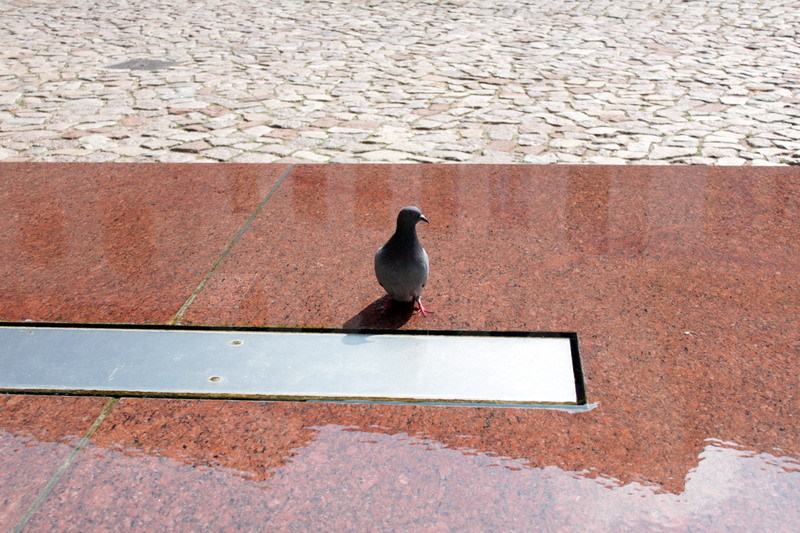 http://f5.s.qip.ru/y4Fn5gyZ.jpg