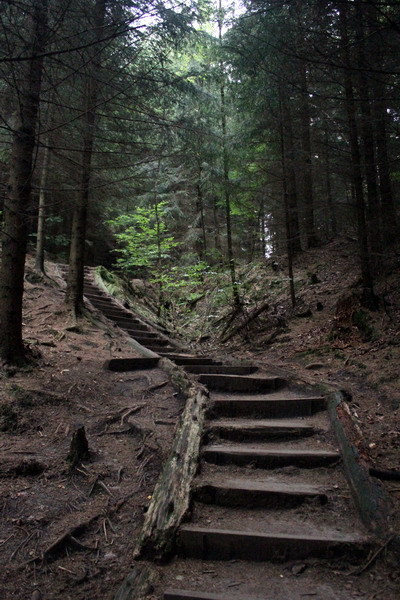 http://f1.s.qip.ru/tOAcrW1A.jpg