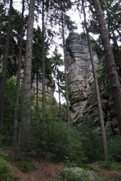 http://f4.s.qip.ru/tOAcrW1L.jpg