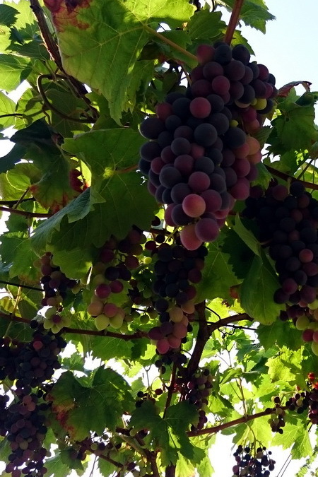 http://f1.s.qip.ru/mqQ2hzIb.jpg