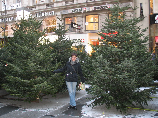 Описание: D:\fff\Vienna_files\image027.jpg