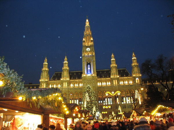 Описание: D:\fff\Vienna_files\image049.jpg