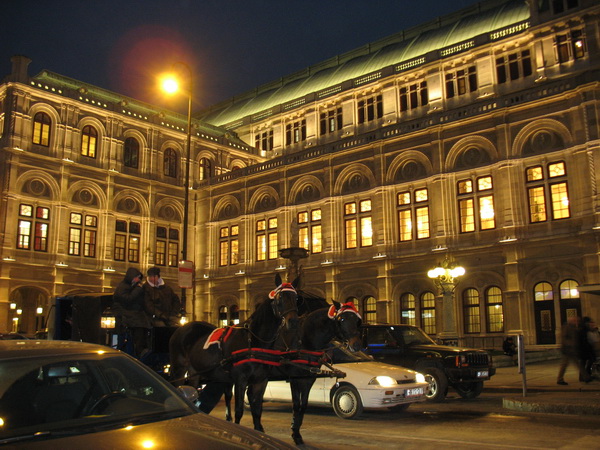 Описание: D:\fff\Vienna_files\image052.jpg