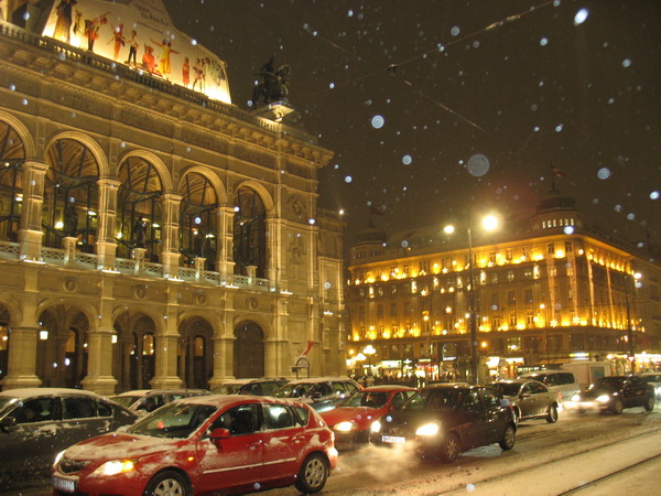Описание: D:\fff\Vienna_files\image073.jpg
