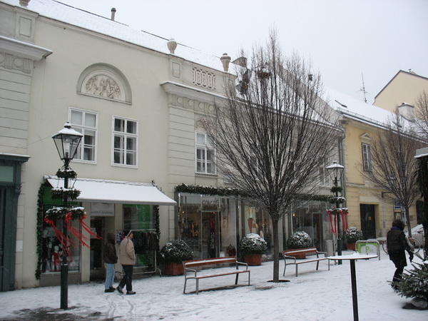 Описание: D:\fff\Vienna_files\image083.jpg