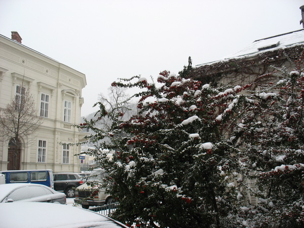 Описание: D:\fff\Vienna_files\image084.jpg