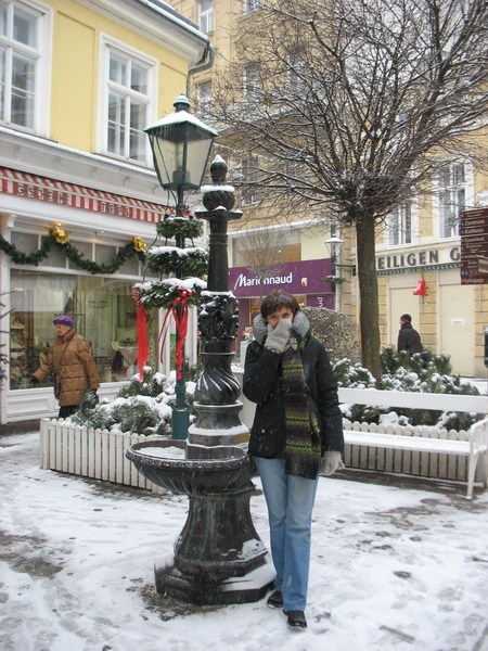 Описание: D:\fff\Vienna_files\image099.jpg