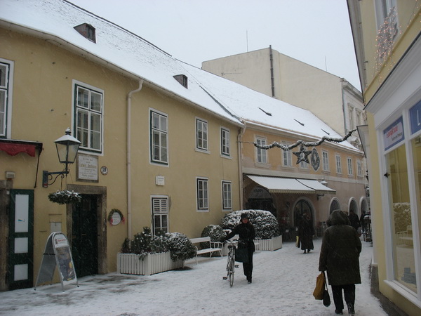 Описание: D:\fff\Vienna_files\image104.jpg