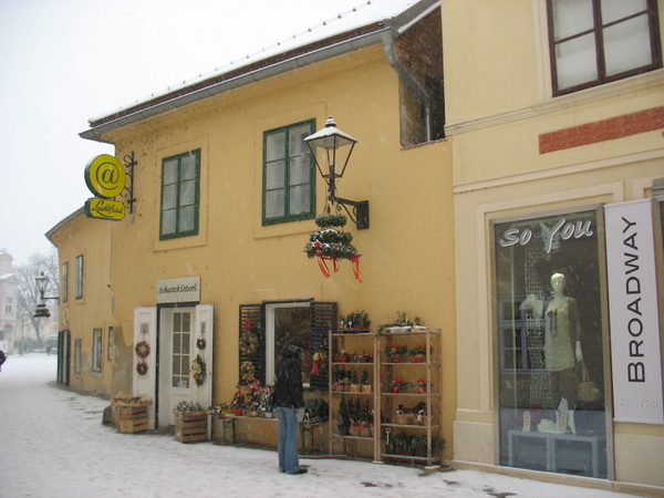 Описание: D:\fff\Vienna_files\image105.jpg