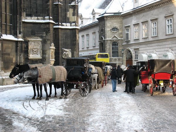 Описание: D:\fff\Vienna_files\image126.jpg
