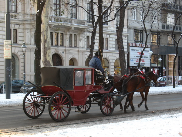 Описание: D:\fff\Vienna_files\image131.jpg