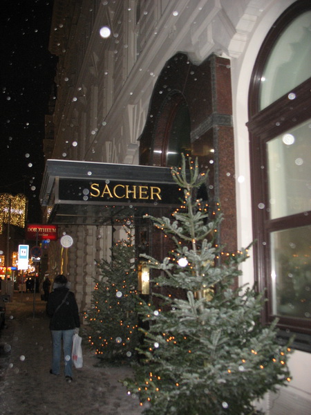 Описание: D:\fff\Vienna_files\image166.jpg
