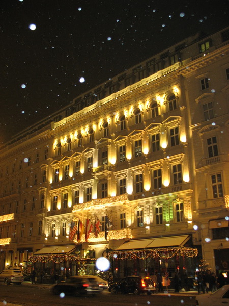 Описание: D:\fff\Vienna_files\image167.jpg
