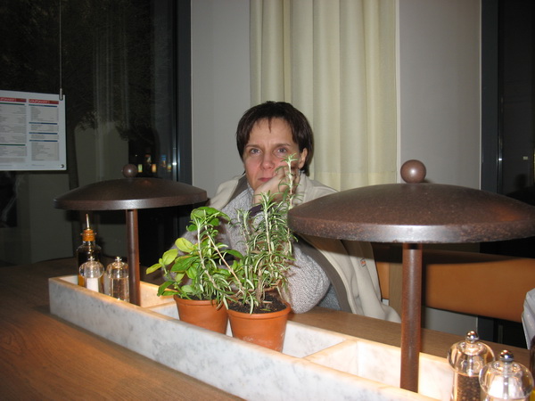 Описание: D:\fff\Vienna_files\image173.jpg