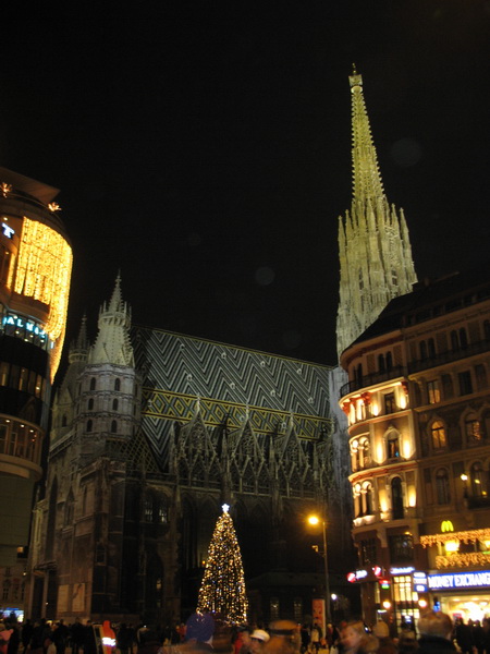 Описание: D:\fff\Vienna_files\image177.jpg